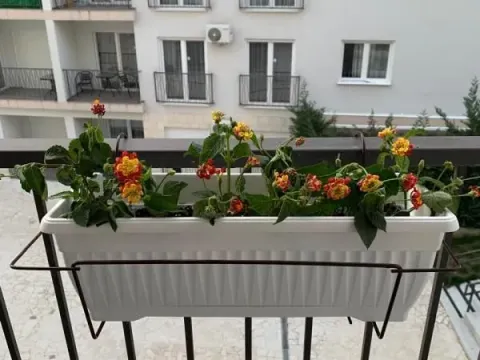 Sale, one bedroom apartment, 46m², Lazi, Budva - image 2