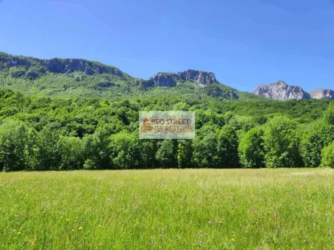 Prodaja, plac, 5000m², Kolašin, Crna Gora - image 4