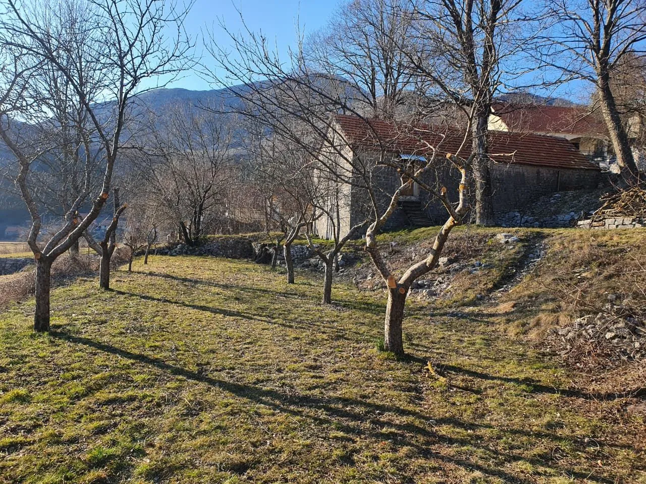 Prodaja, kuća, 150m², Njeguši, Cetinje