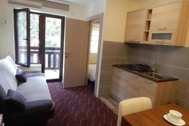 Sale, one bedroom apartment, 21m², Kraljevi Čardaci, Kopaonik