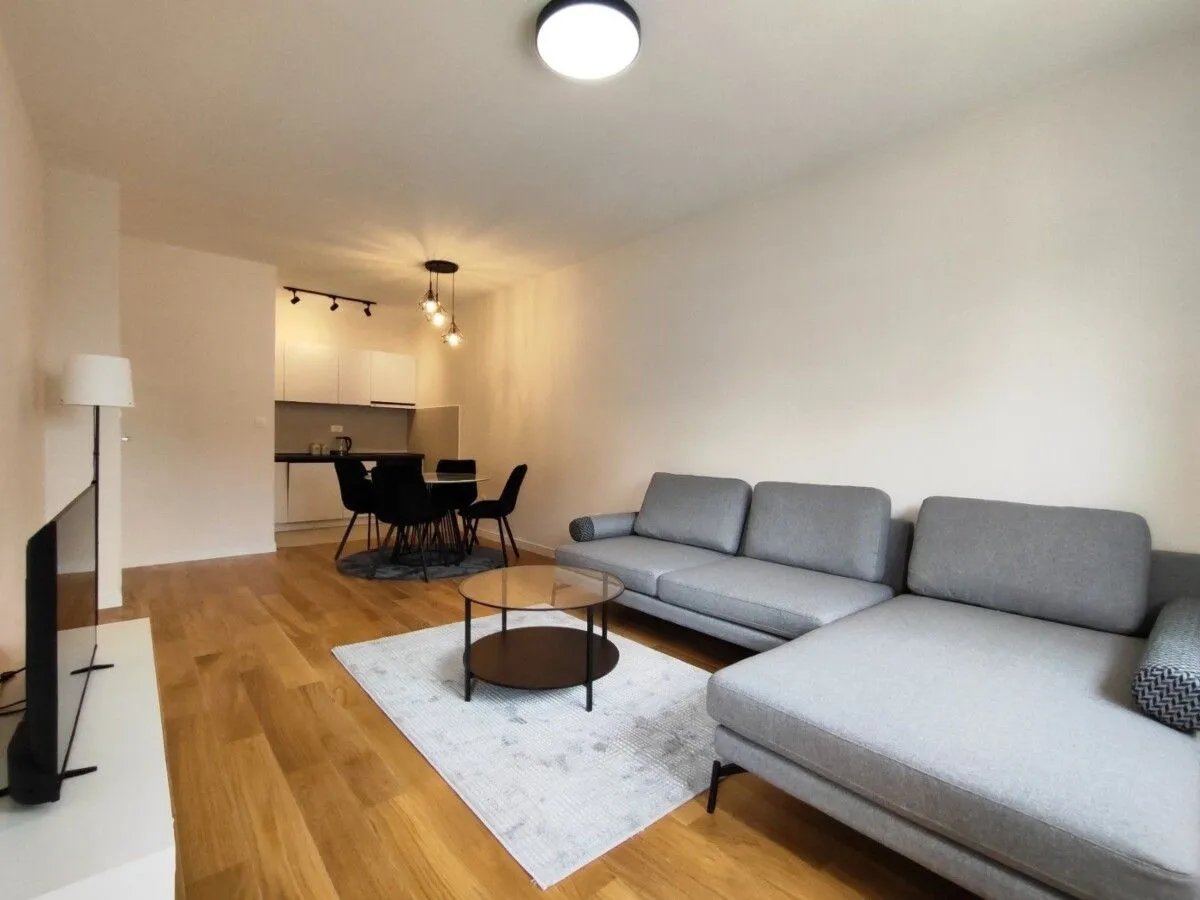 Izdavanje, jednosoban stan, 50m², Central Point, Podgorica
