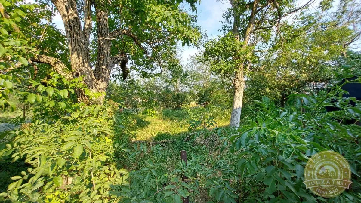 Prodaja, kuća, 75m², Čenej, Novi Sad Sve Podlokacije