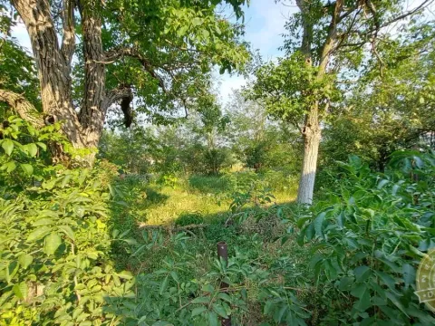 Sale, house, 75m², Čenej, Novi Sad Sve Podlokacije - image 6