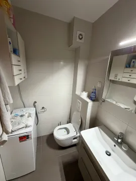 Manje kupatilo sa umivaonikom, toaletom i veš mašinom. - image 16