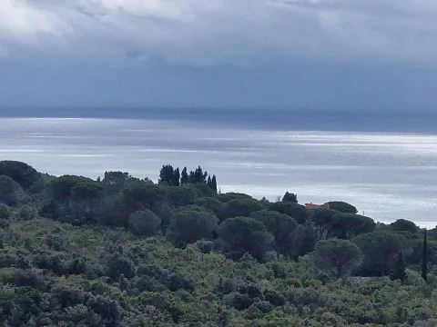 Prodaja, plac, 930m², Zagora, Kotor - image 4