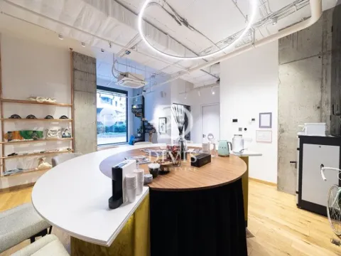 Prodaja, poslovni prostor, 289m², Donji Dorćol, Dorćol Sve Podlokacije - image 11