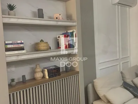 Izdavanje, dvosoban stan, 35m², Južni Bulevar, Vračar Sve Podlokacije - image 8