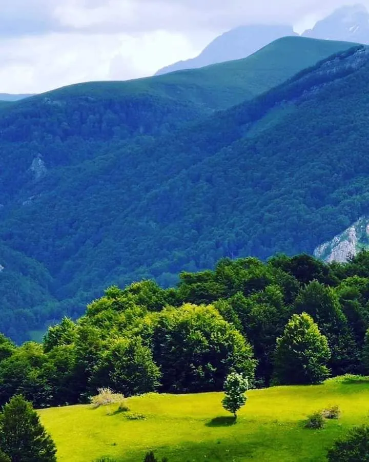 Prodaja, plac, 400000m², Podgorica, Crna Gora
