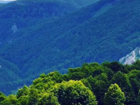 Prodaja, plac, 400000m², Podgorica, Crna Gora - image 9