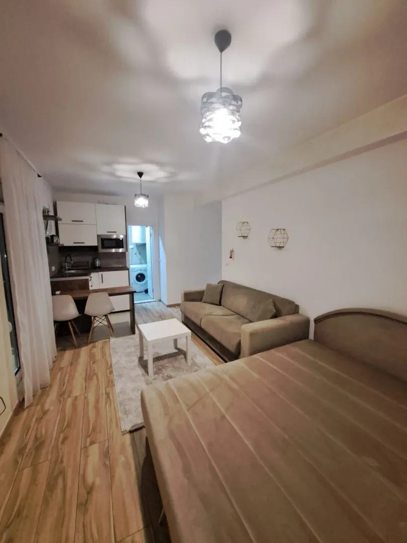 Izdavanje, garsonjera, 30m², Rozino, Budva