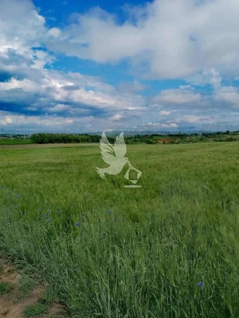 Prodaja, plac, 47000m², Sopot, Beograd