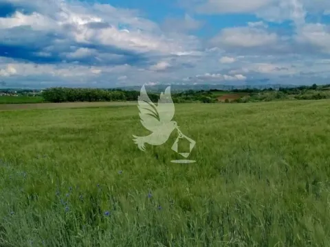 Prodaja, plac, 47000m², Sopot, Beograd - image 2