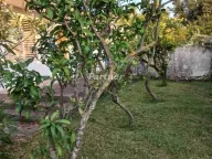 Sale, house, 200m², Mišići, Bar - image 10