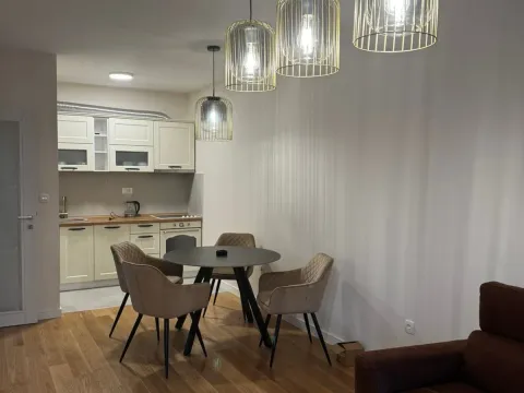 Izdavanje, jednosoban stan, 49m², Central Point, Podgorica - image 3