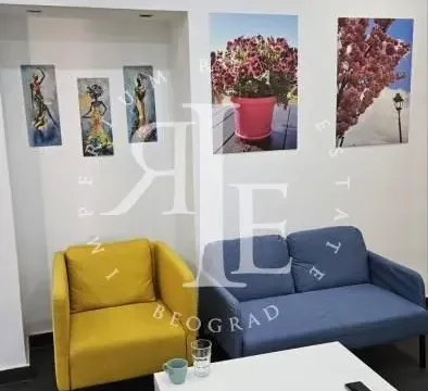 Izdavanje, poslovni prostor, 130m², Stari Grad, Beograd - image 6