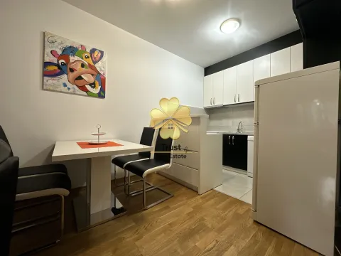 Izdavanje, jednosoban stan, 53m², Ljubović, Podgorica - image 4