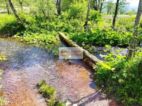 Prodaja, plac, 5000m², Kolašin, Crna Gora - image 3