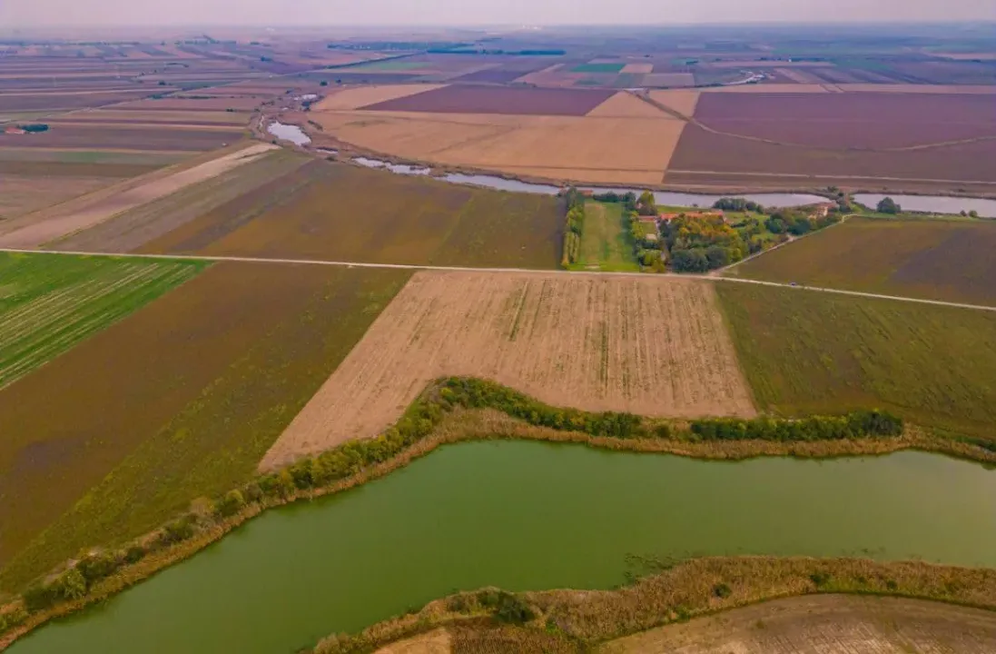 Sale, land lot, 21400m², Bačka Topola, Srbija