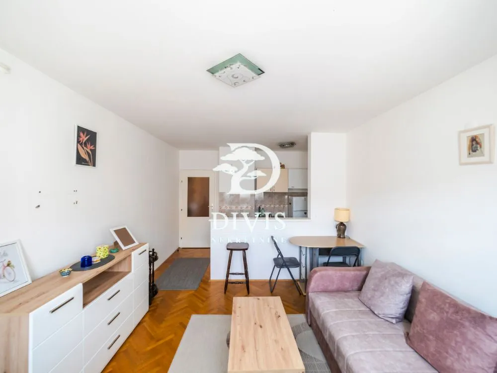 Sale, two bedroom apartment, 42m², Botanička Bašta, Palilula Sve Podlokacije