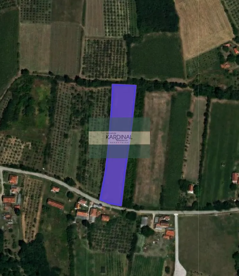 Prodaja, plac, 8199m², Čumić, Kragujevac
