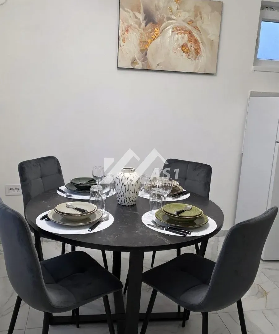 Izdavanje, dvosoban stan, 45m², Veternik, Novi Sad Sve Podlokacije