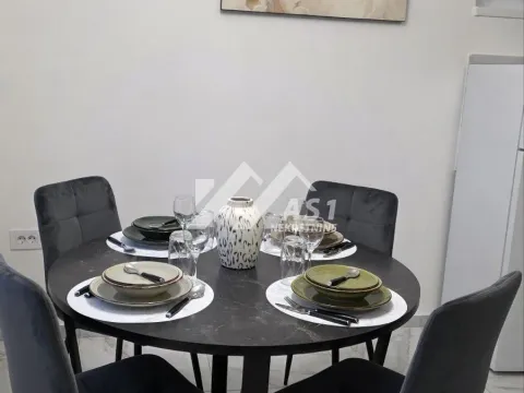 Izdavanje, dvosoban stan, 45m², Veternik, Novi Sad Sve Podlokacije - image 4
