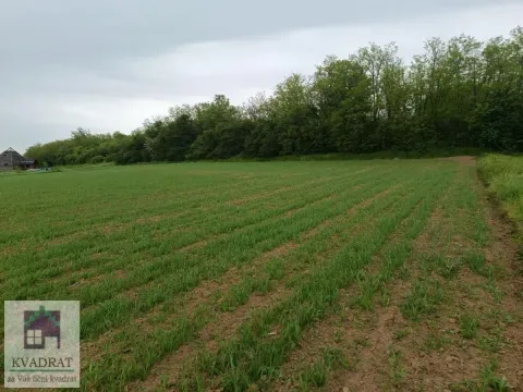 Prodaja, plac, 550m², Obrenovac, Beograd - image 4