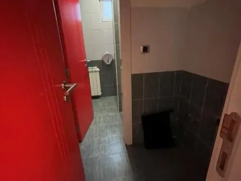 Izdavanje, poslovni prostor, 356m², Zemun Gornji Grad, Zemun Sve Podlokacije - image 13