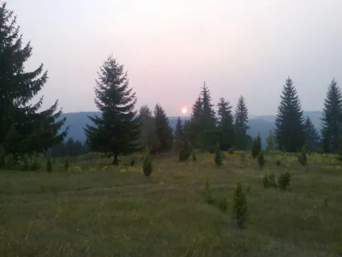 Sale, land lot, 105000m², Mijakovići, Pljevlja - image 4