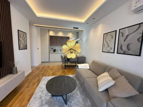 Izdavanje, jednosoban stan, 45m², City Kvart, Podgorica - image 2
