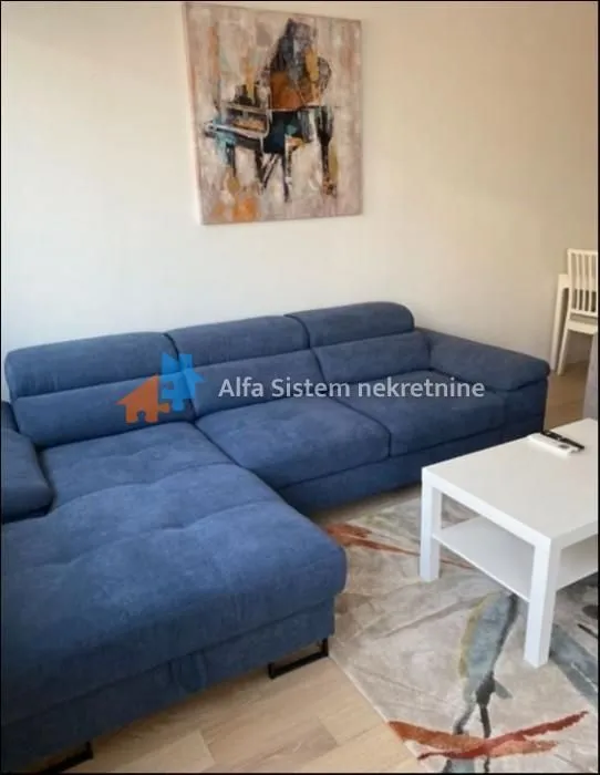 Izdavanje, dvosoban stan, 47m², Novi Beograd Blok 67, Novi Beograd Sve Podlokacije