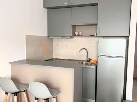 Izdavanje, stan, 31m², Ljubović, Podgorica - image 7