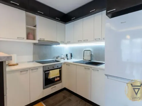 Izdavanje, jednosoban stan, 43m², Južni Bulevar, Vračar Sve Podlokacije - image 8