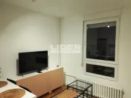 Prodaja, jednosoban stan, 30m², Lion, Zvezdara Sve Podlokacije - image 10