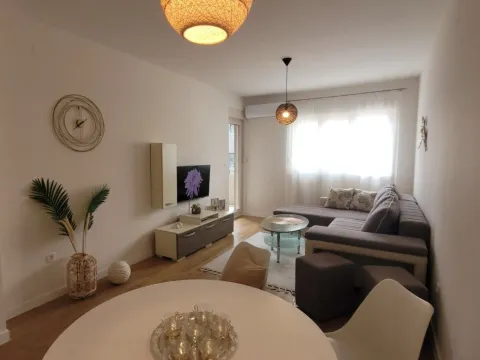 Rent, one bedroom apartment, 47m², Central Point, Podgorica - image 5
