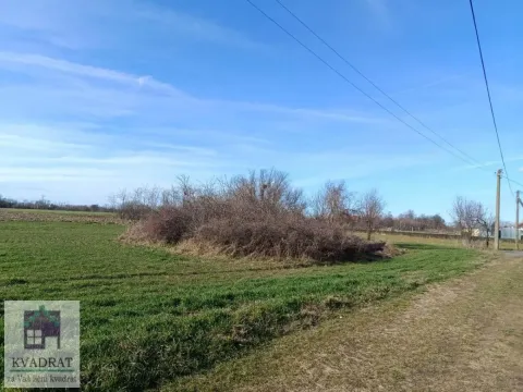 Prodaja, plac, 2000m², Stubline, Obrenovac - image 3