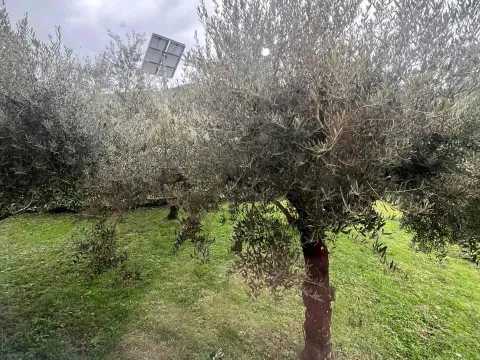 Rent, one bedroom apartment, 90m², Radanovići, Kotor - image 10