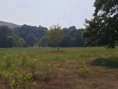 Prodaja, plac, 11471m², Podgorica, Crna Gora - image 4