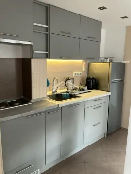 Rent, one bedroom apartment, 39m², Retenzija, Beograd - image 3