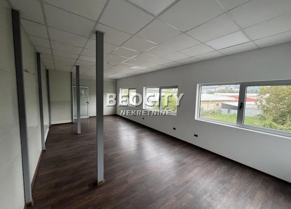 Izdavanje, poslovni prostor, 770m², Kneževac, Beograd