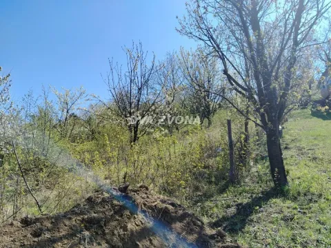 Prodaja, kuća, 35m², Beška, Inđija - image 6