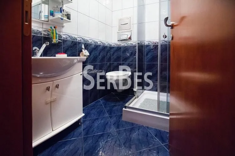Sale, house, 300m², Betanija, Novi Sad Sve Podlokacije