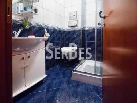 Prodaja, kuća, 300m², Betanija, Novi Sad Sve Podlokacije - image 5