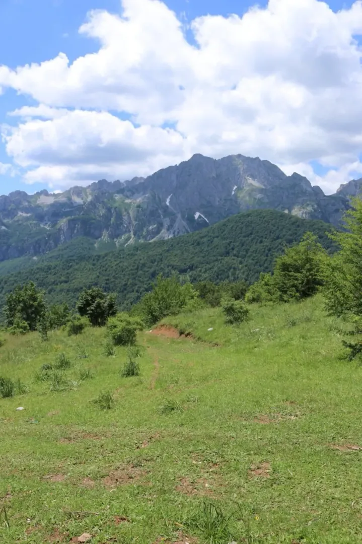 Prodaja, plac, 45000m², Gornje Lipovo, Kolašin
