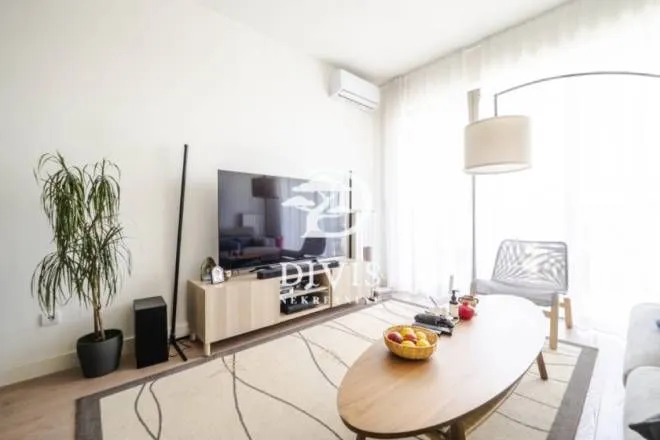 Bright living room with a TV, wooden coffee table, and rug.