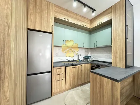 Izdavanje, jednosoban stan, 45m², Zagorič, Podgorica - image 4