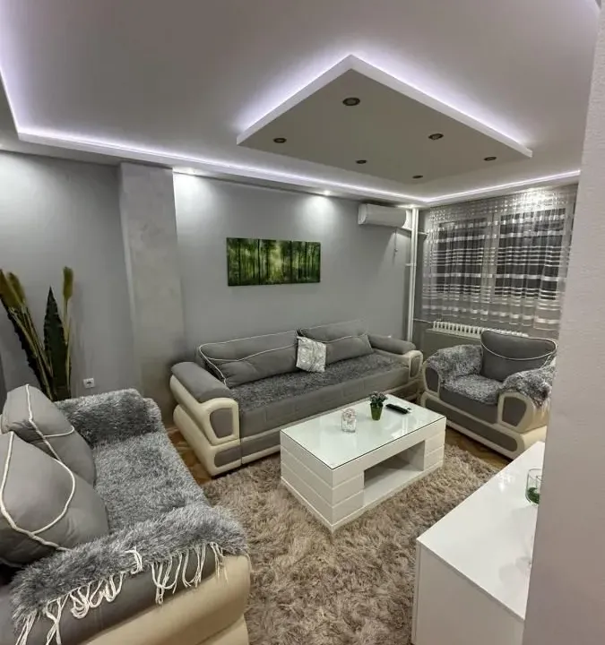 Izdavanje, dvosoban stan, 55m², Bulevar, Niš