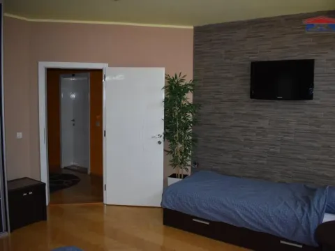 Izdavanje, kuća, 250m², Petrovaradin, Novi Sad - image 11