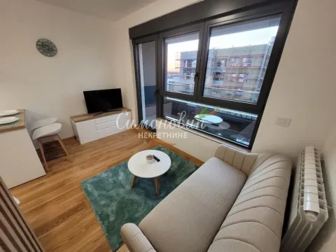 Rent, one bedroom apartment, 30m², Autokomanda, Voždovac Sve Podlokacije - image 5