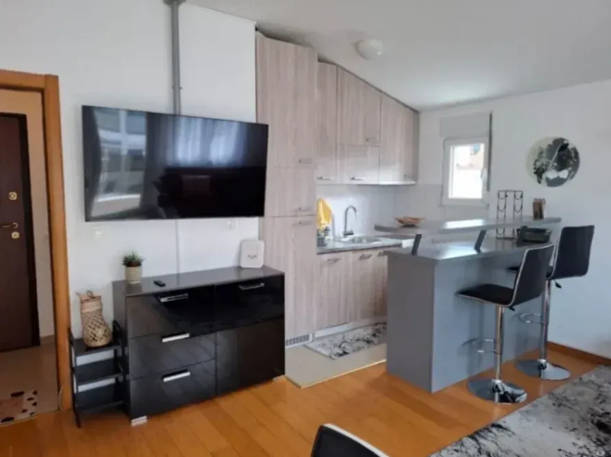 Izdavanje, jednosoban stan, 48m², Blok 9, Podgorica